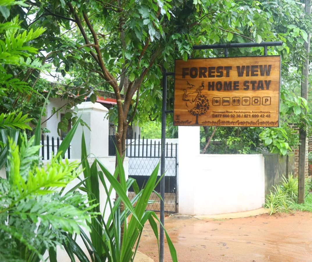 Forest View Home Stay อนุราธปุระ ภายนอก รูปภาพ